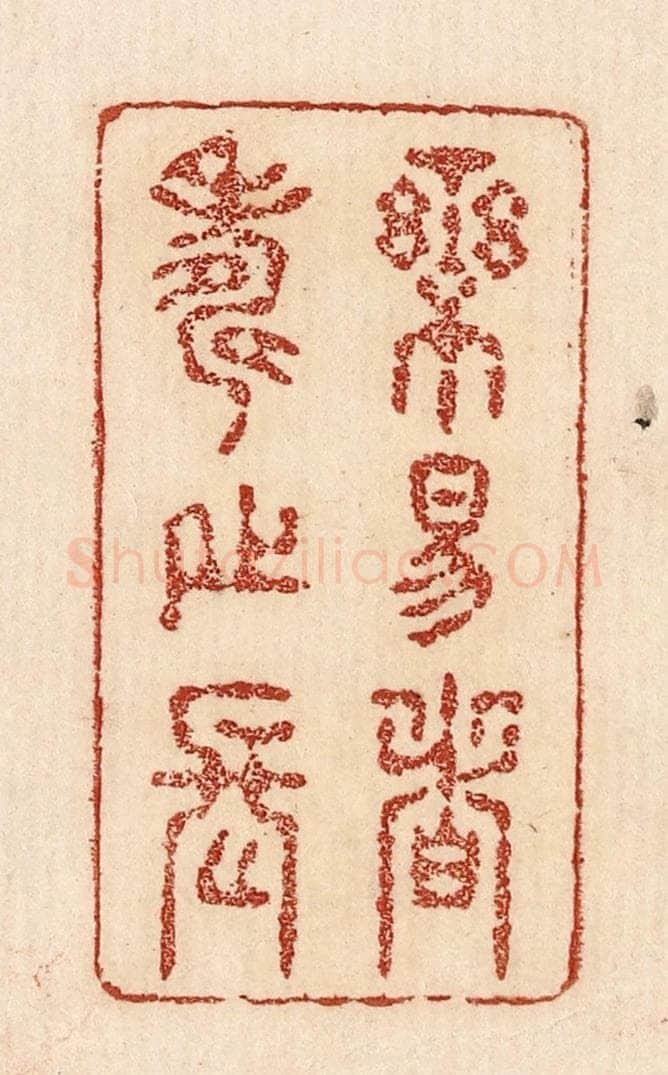  不详 篆刻印章作品《乐易者寿之长》
