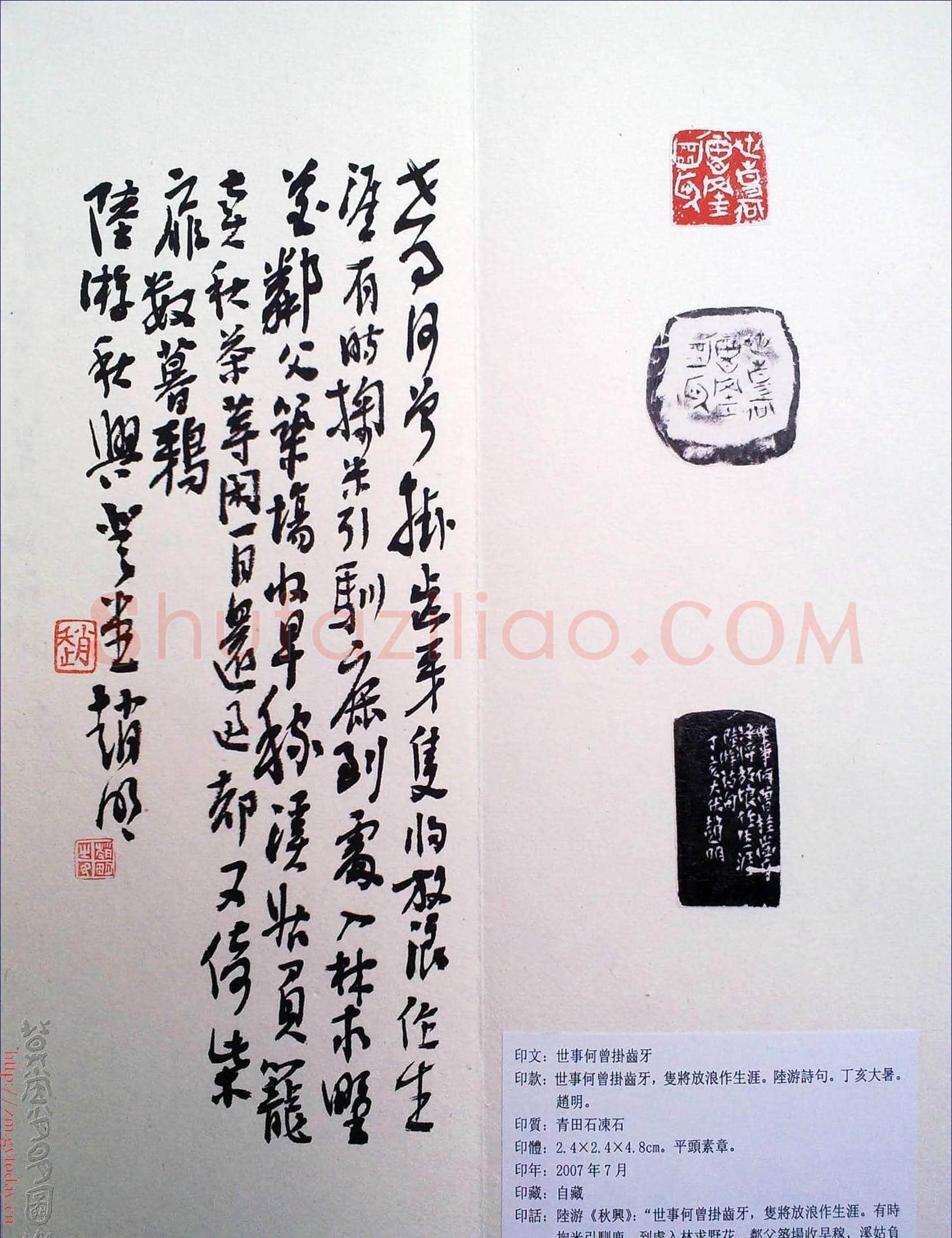 赵明书法篆刻欣赏白文古玺精选寅集 | 篆刻作品鉴赏