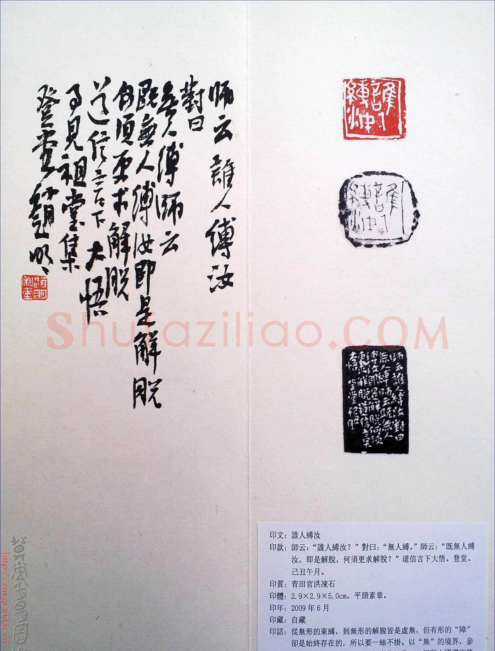赵明书法篆刻欣赏白文古玺精选寅集 | 篆刻作品鉴赏