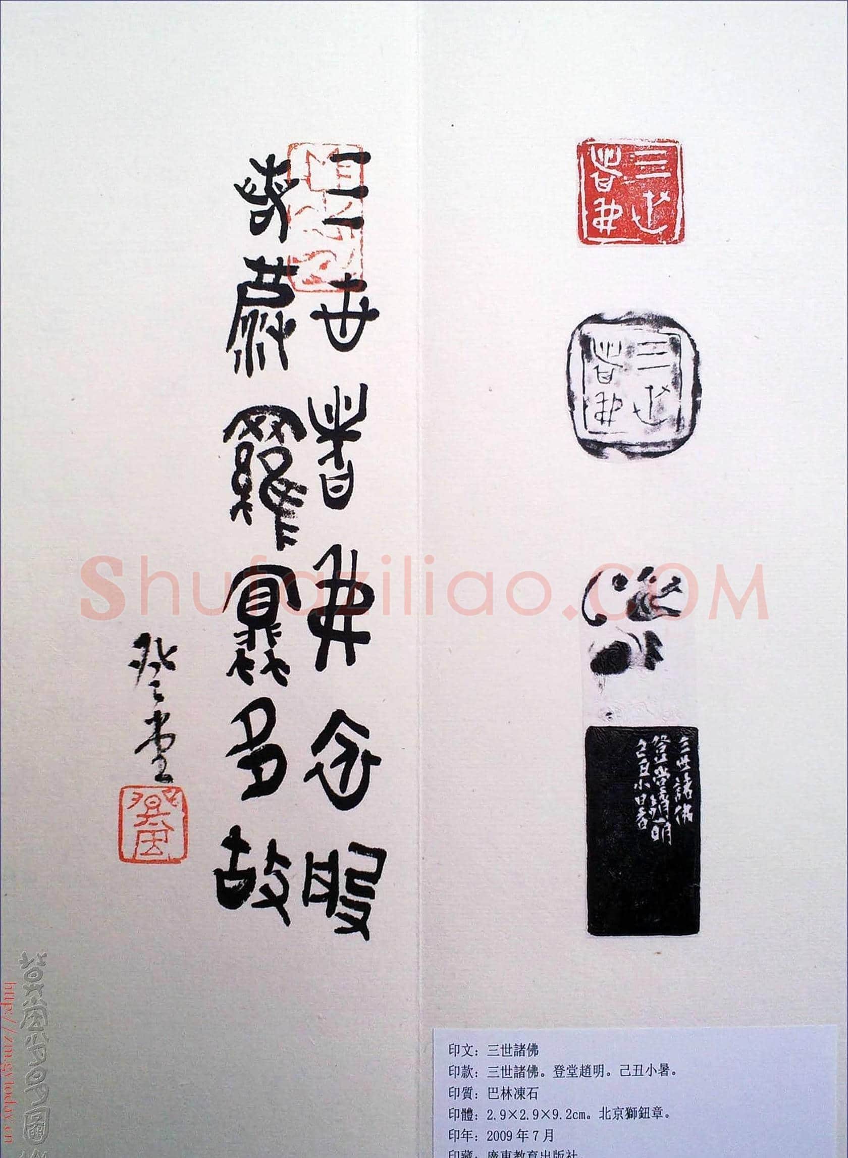赵明书法篆刻欣赏白文古玺精选寅集 | 篆刻作品鉴赏