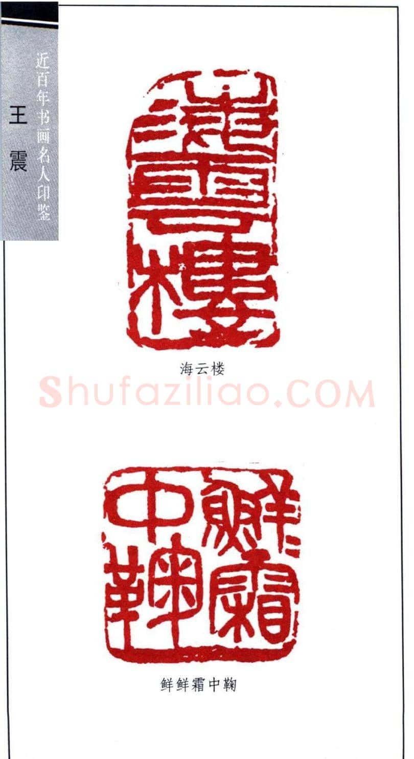 清末著名画家王震印鉴欣赏 | 篆刻作品欣赏