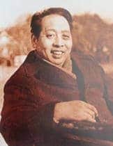 地奇星圣水将单廷圭 陆维钊(微昭)