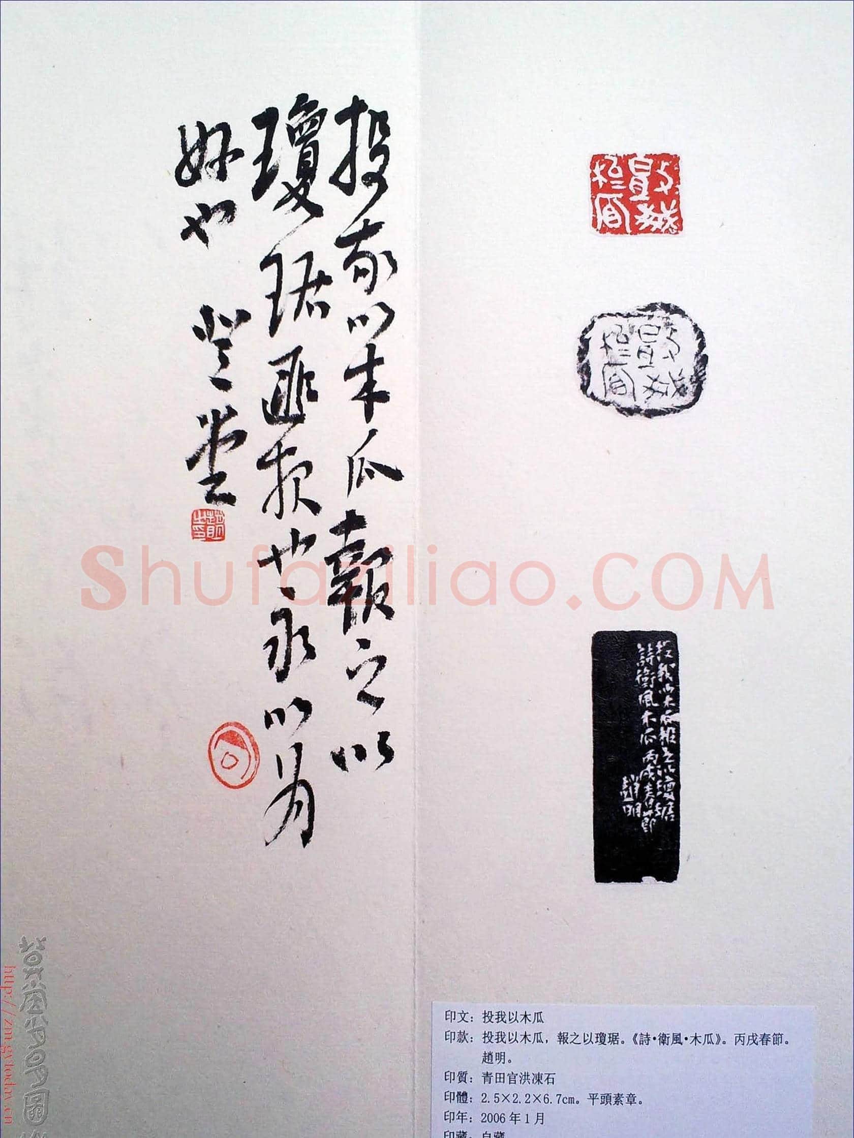 赵明书法篆刻欣赏白文古玺精选寅集 | 篆刻作品鉴赏