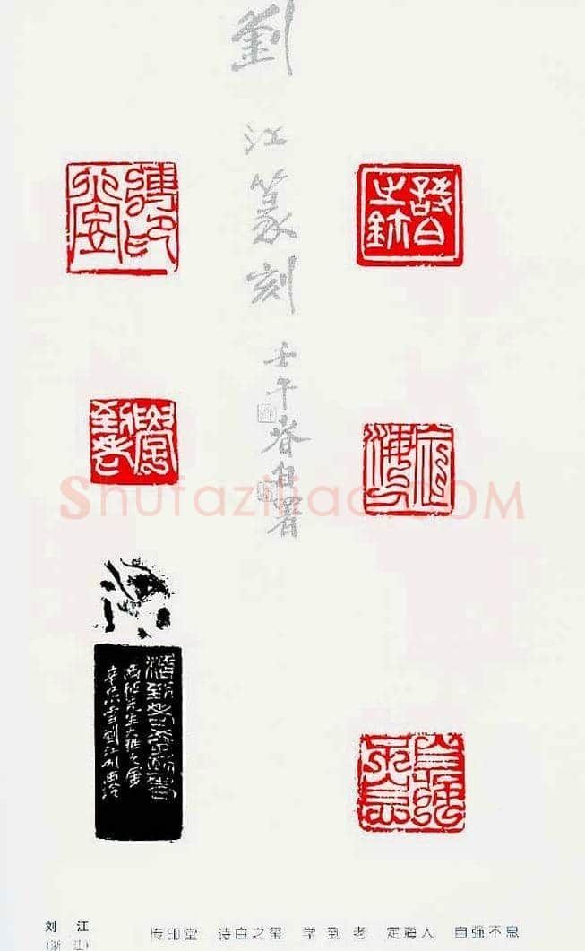 中国当代著名篆刻家作品邀请展作品集 | 篆刻作品鉴赏