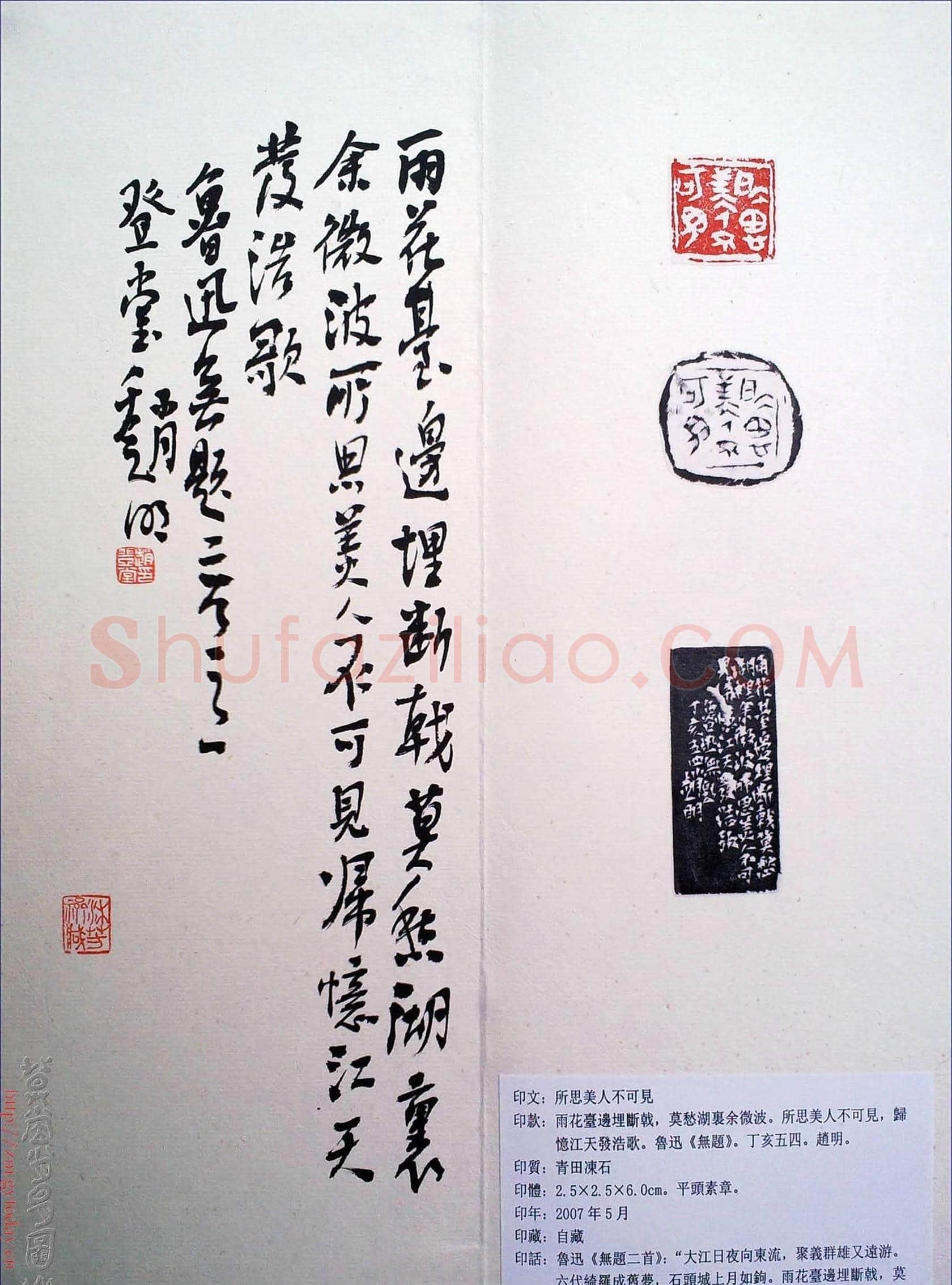赵明书法篆刻欣赏白文古玺精选寅集 | 篆刻作品鉴赏