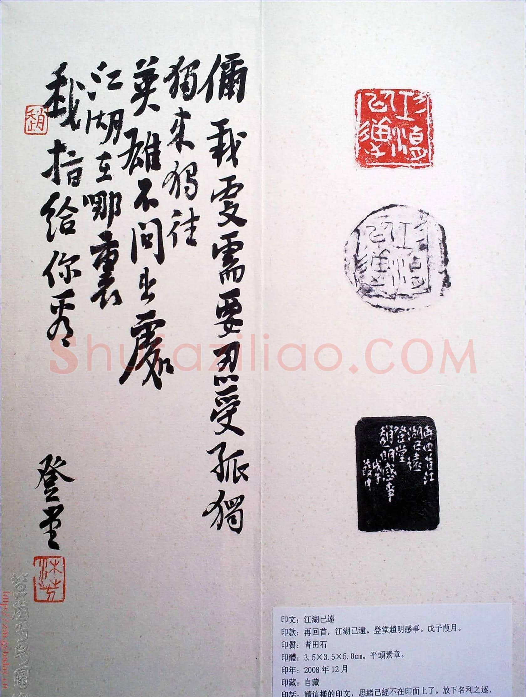 赵明书法篆刻欣赏白文古玺精选寅集 | 篆刻作品鉴赏