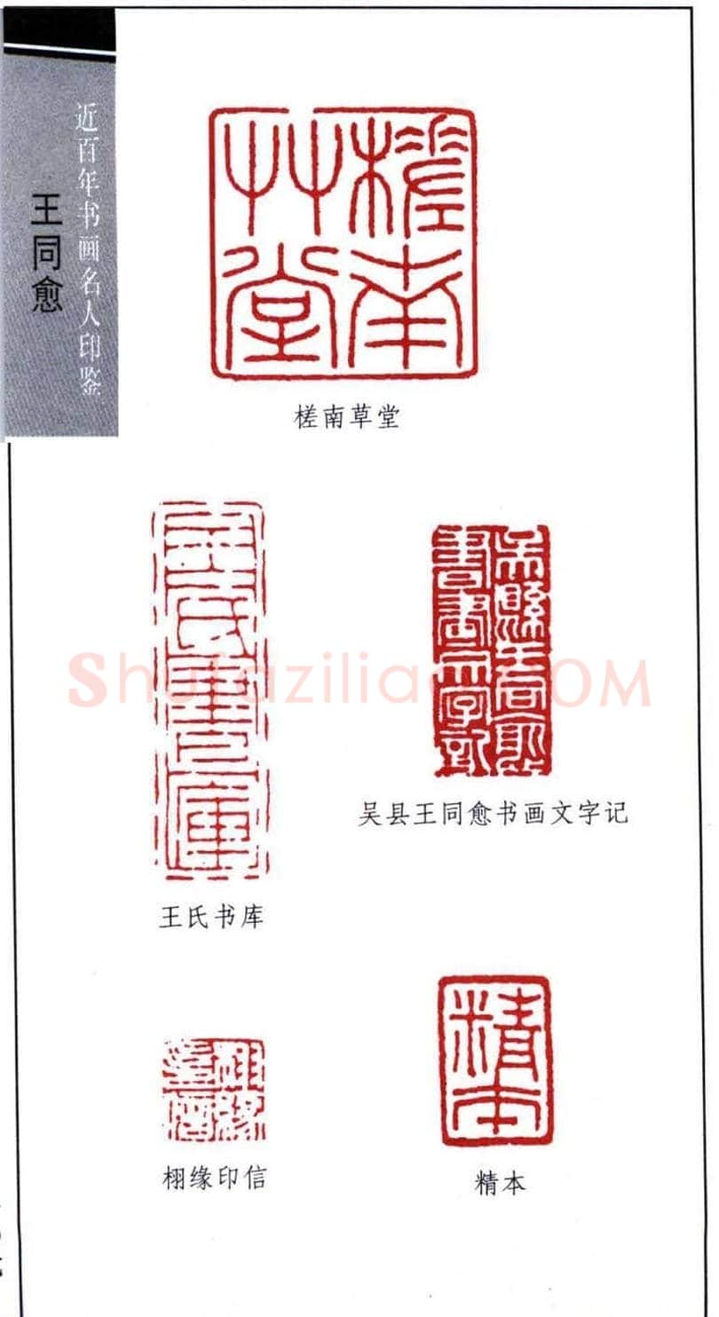 书画家王同愈篆刻印鉴25枚 | 篆刻作品欣赏