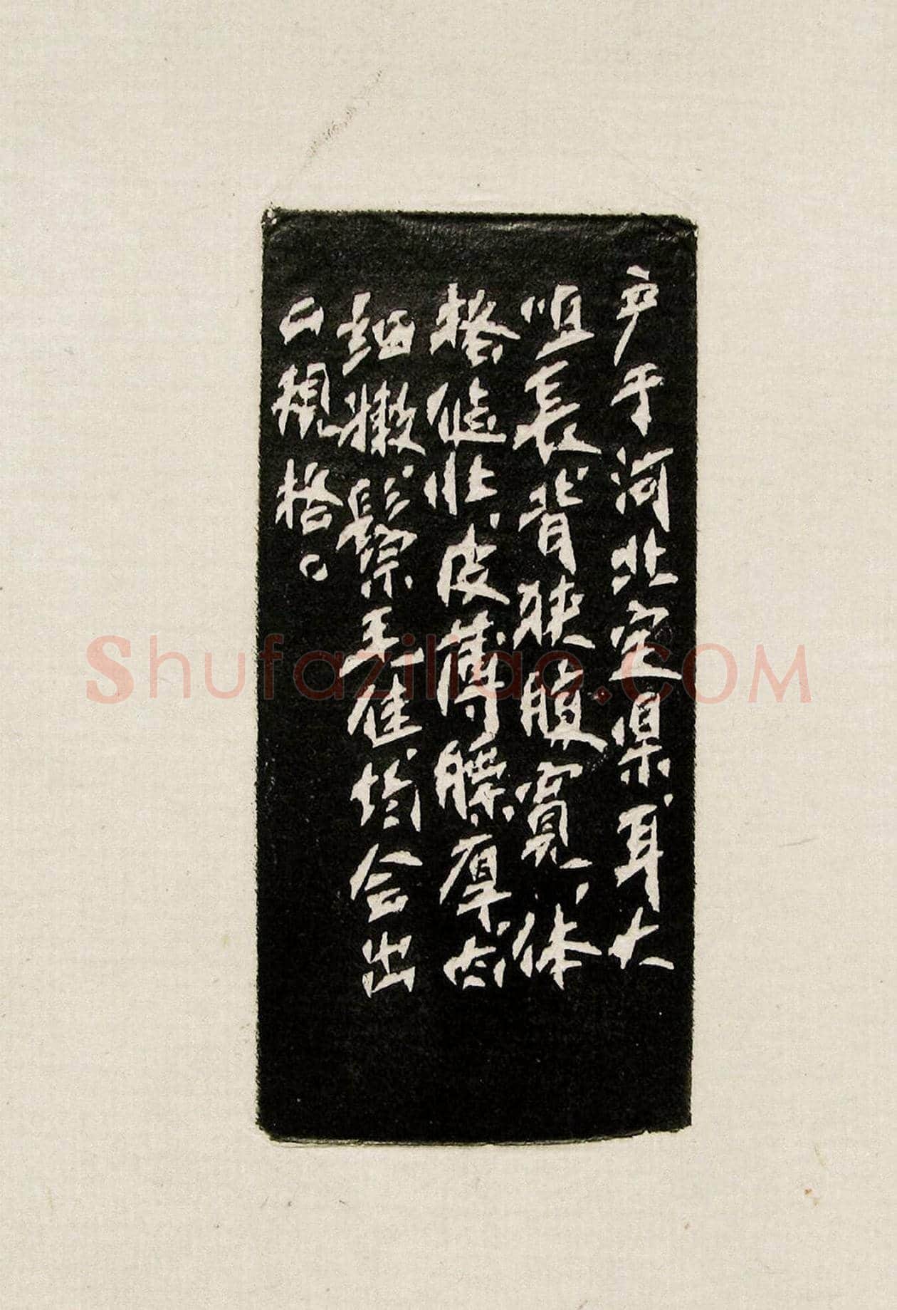 方去疾篆刻作品集《去疾治印》 | 篆刻作品欣赏