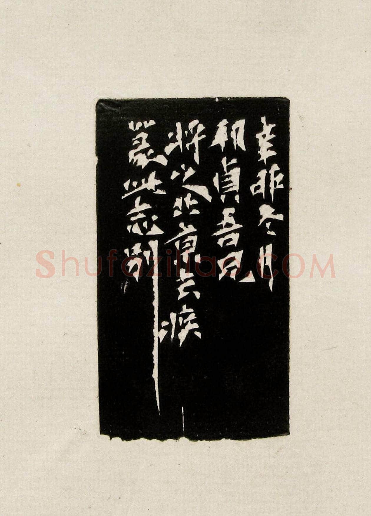 方去疾篆刻作品集《去疾治印》 | 篆刻作品欣赏