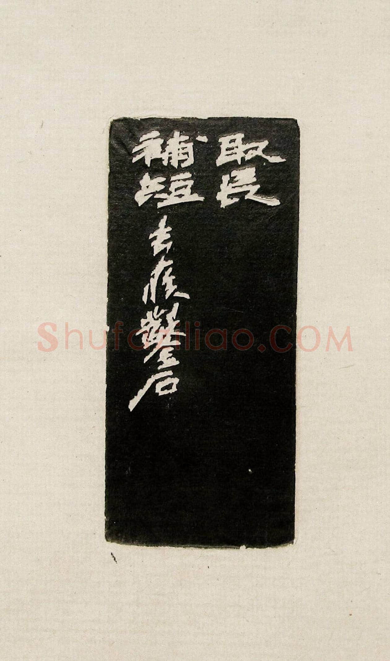 方去疾篆刻作品集《去疾治印》 | 篆刻作品欣赏