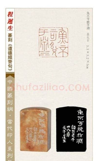 程迟生篆刻作品道德经警句 | 篆刻作品鉴赏