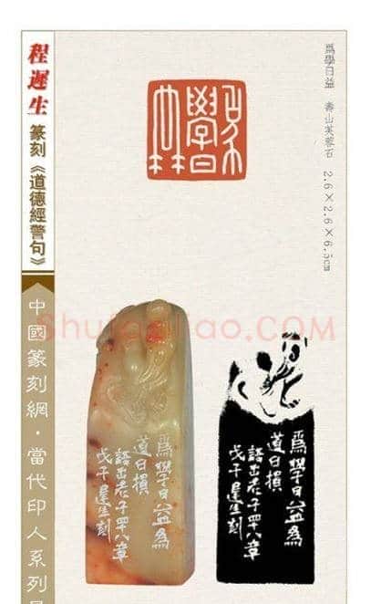 程迟生篆刻作品道德经警句 | 篆刻作品鉴赏