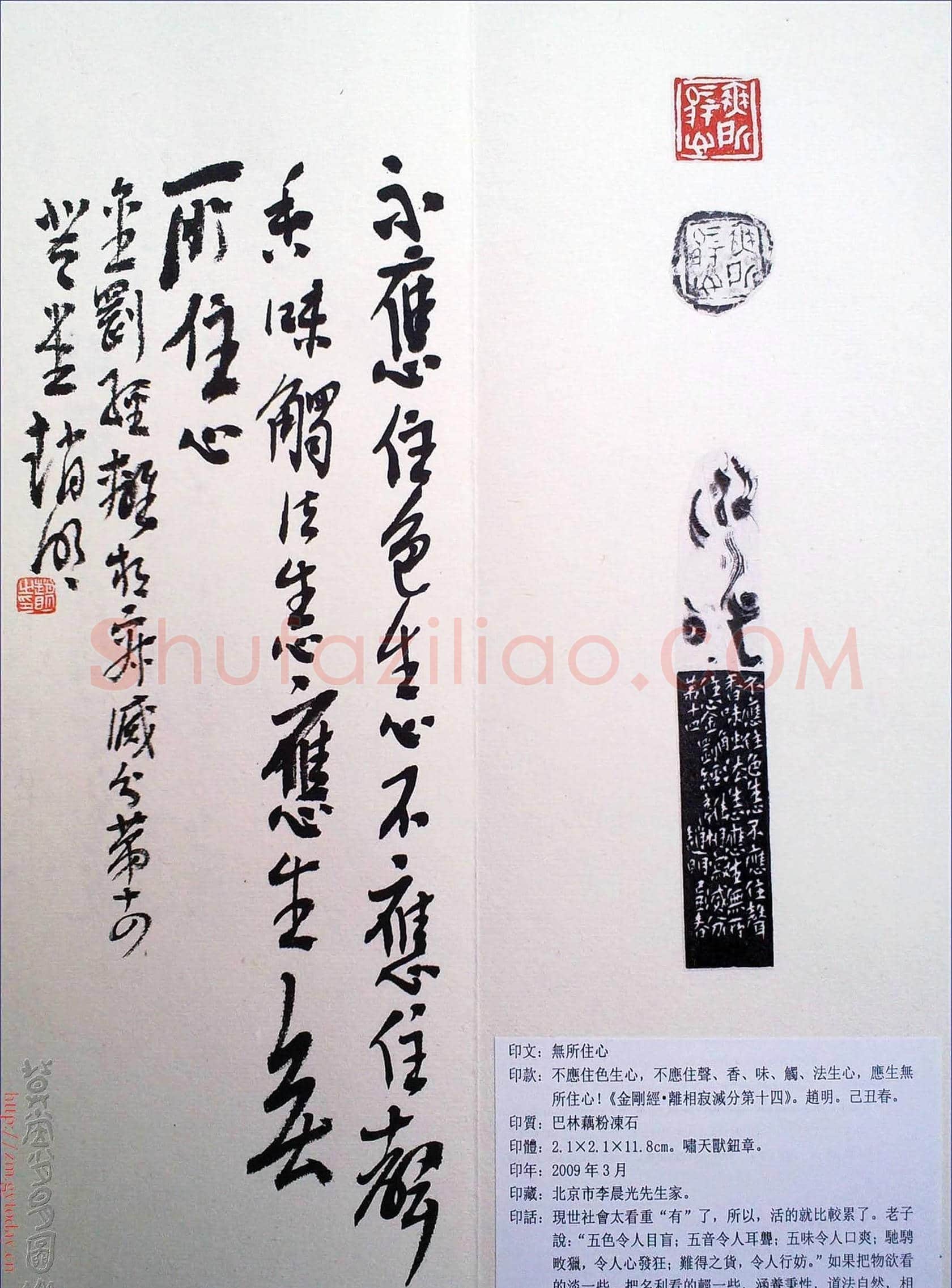赵明书法篆刻欣赏白文古玺精选寅集 | 篆刻作品鉴赏
