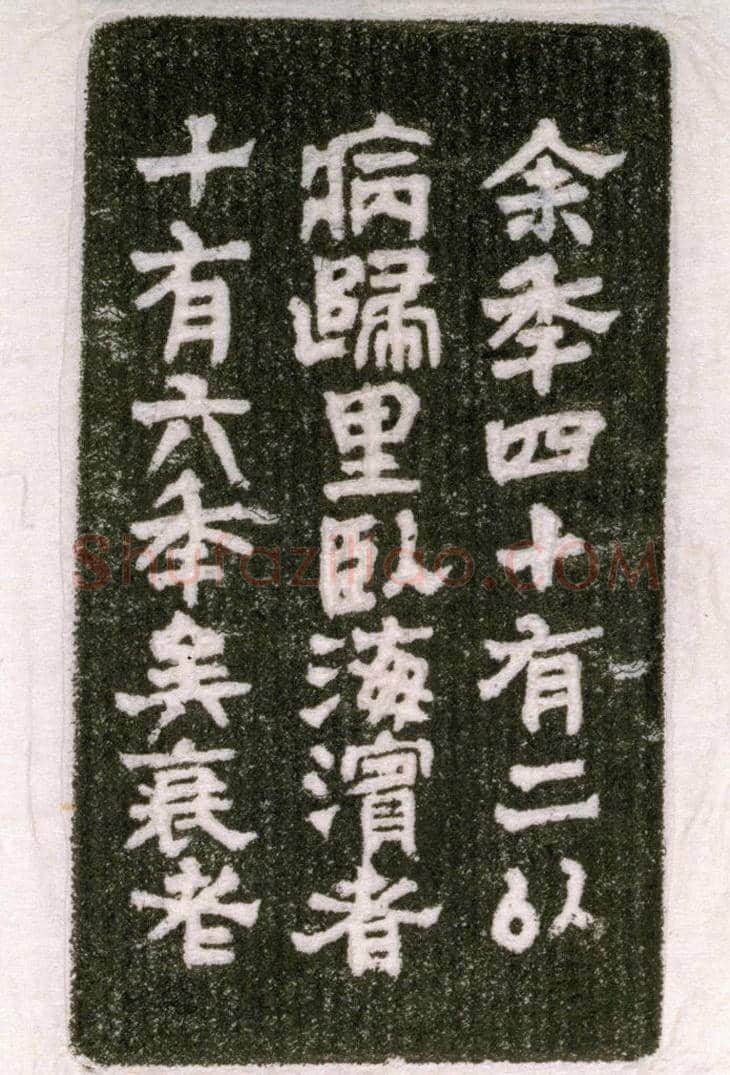 青田石“海滨病史”章 | 故宫玺印类藏品