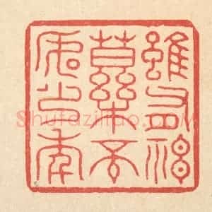 清代 张梓篆 印谱《虽有神药 不如少年》篆刻印章作品图片欣赏