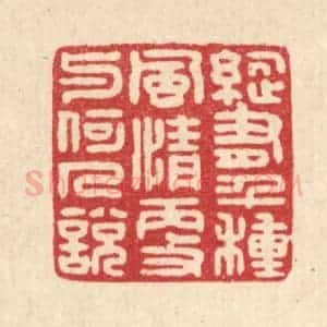 清代 严源篆 印谱《纵有千种风情 更与何人说》篆刻印章作品图片欣赏