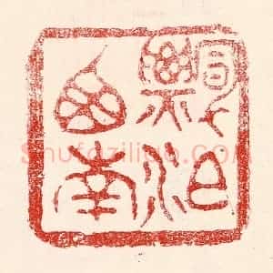 民国 王王孙篆 印谱《漂泊西南》篆刻印章作品图片欣赏