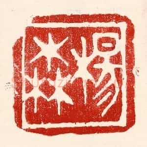 民国 王王孙篆 印谱《杨森》篆刻印章作品图片欣赏