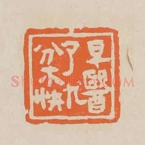 清代 赵穆篆 印谱《早医了九分不快》篆刻印章作品图片欣赏