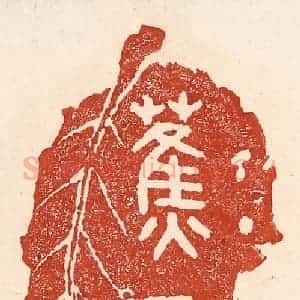 清代 陆廷槐辑 印谱《蕉露》篆刻印章作品图片欣赏
