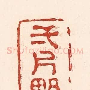清代 陆廷槐辑 印谱《一片野心》篆刻印章作品图片欣赏