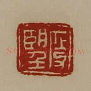 清代 陈介祺藏并辑 印谱《段望》篆刻印章作品图片欣赏