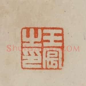 清代 曹载奎辑 印谱《王宸之印》篆刻印章作品图片欣赏