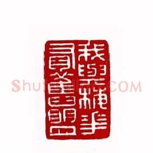 我与梅花有旧盟(谢梅奴 湖南)篆刻入展作品