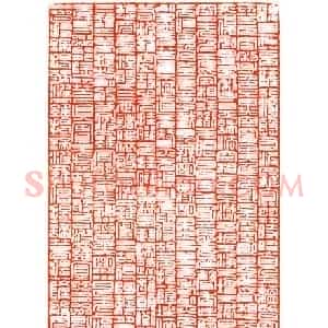 李书强篆刻作品欣赏《心经》全篇