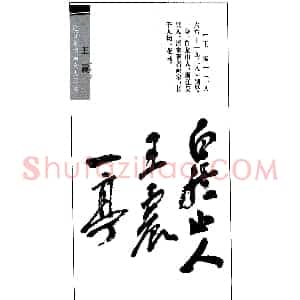 清末著名画家王震印鉴欣赏