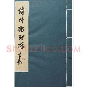 朵云轩原石精拓出版《赵叔儒印存》