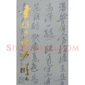 童衍方篆刻作品集欣赏《童衍方印存》