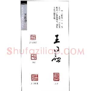 书画家王同愈篆刻印鉴25枚